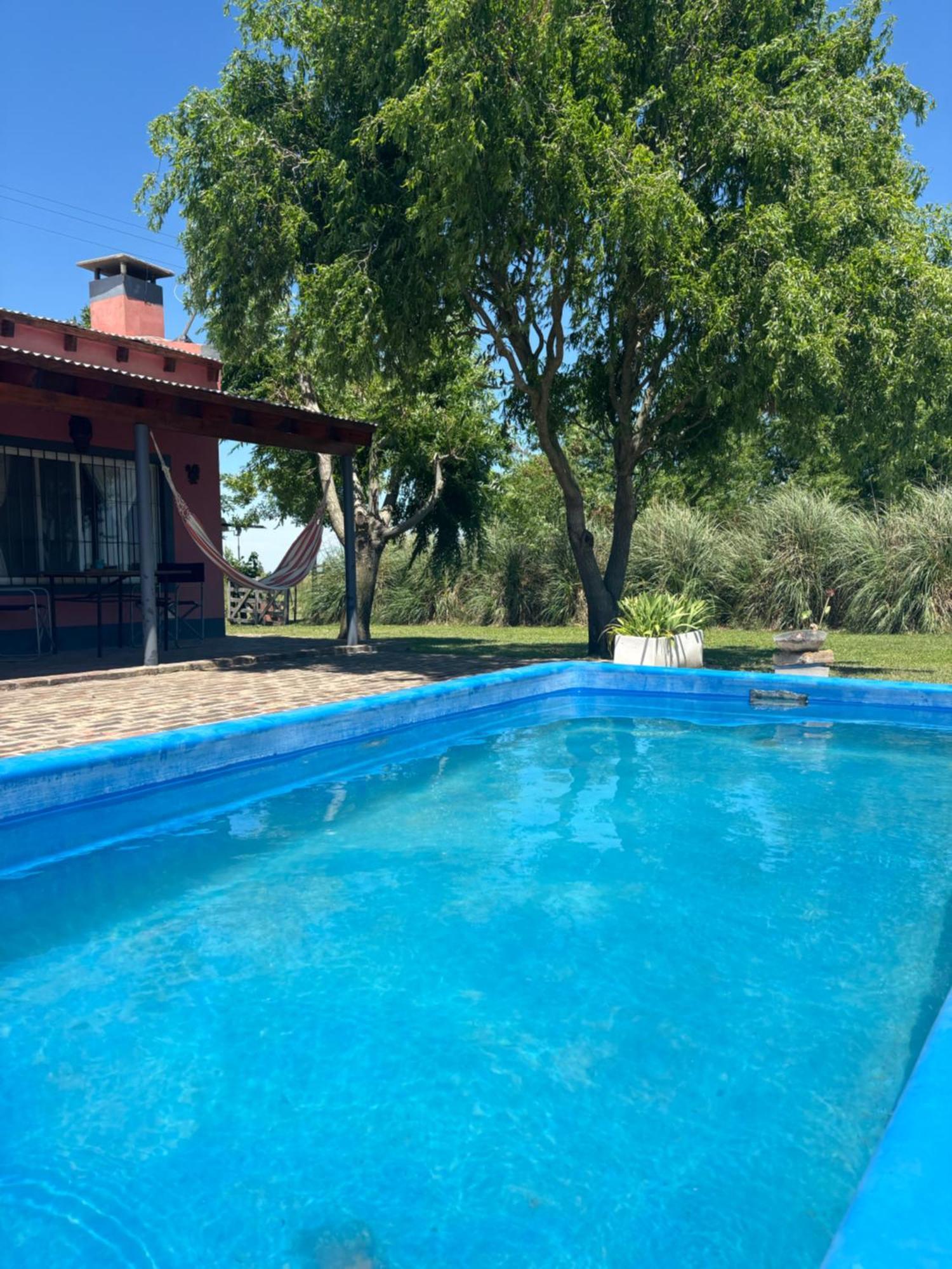Huesos 2 Chascomus